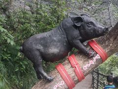 -蝶舞清江·恩施地心谷景区