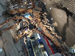 -国家自然博物馆