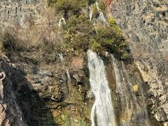 -上海辰山植物园