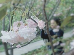 -南山植物园