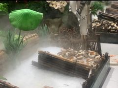 -爱客得牛排海鲜烤肉·火锅自助(春熙路黑金好店)