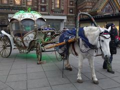 -滴血救世主教堂