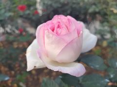 -人民公园(罗湖区)