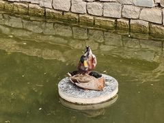 -三里河公园