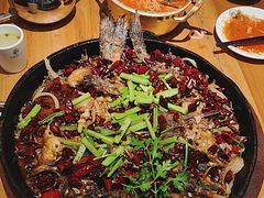 -老板恋上鱼(环山路店)