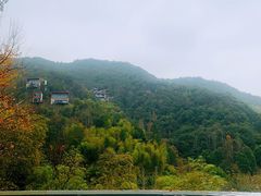 -宁海安岚·南溪阁全日餐厅