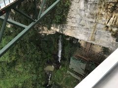 -梦幻奥陶纪景区