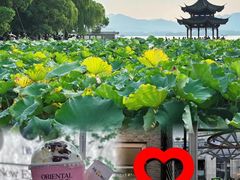 -杭州湖滨in77