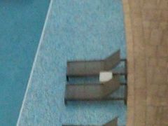 -九龙东皇冠假日酒店室外泳池