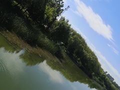 -大兴滨河森林公园