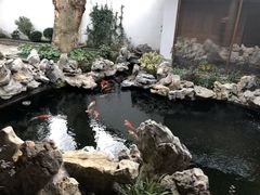 -鲤院·新中式美学·庭院餐厅(夫子庙店)