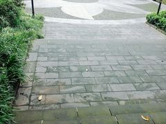 -重庆彩云湖湿地公园