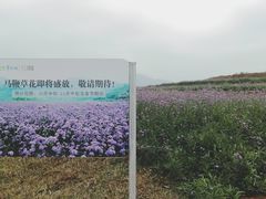 -光明小镇欢乐田园