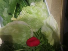 -顺承小院儿