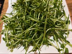 -一朵菌·野生菌探索家火锅(南亚店)