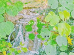 -南海湾森林生态园