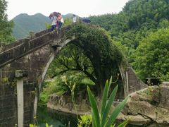 -鹿亭中村