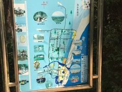 -日照海滨国家森林公园