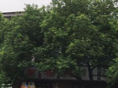 -海之蓝宾馆(苏州拙政园店)