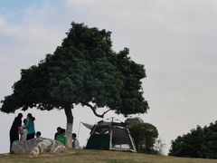 -红花山公园