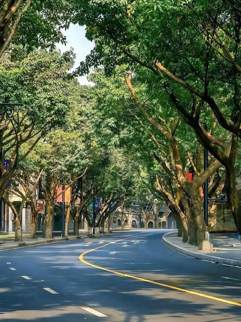 重庆最美街道
