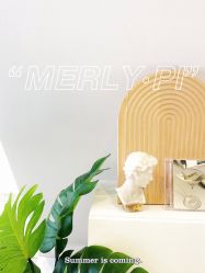 -MLP美丽派·问题肌疗愈中心