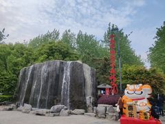 -合肥滨湖国家森林公园