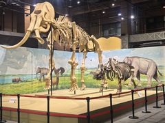 -国家自然博物馆