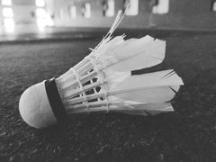 -阳光羽毛球馆(马家龙店)