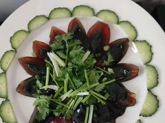 -天鹅到家·保姆月嫂育儿嫂(总店)
