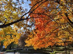 -元大都城垣遗址公园