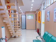 -米苏动物医院·犬猫专科·骨科外科内窥镜