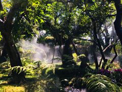 -Chom Cafe and Restaurant