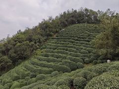 -十里琅珰