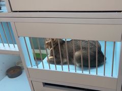 -FAELING PETS美天灵宠物(合生汇店)