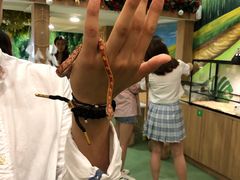 -藦茜花园宠物主题亲子互动体验馆(国顺东路店)