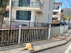 -莫干山风景区