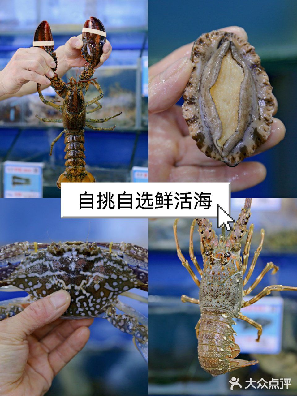 三亚美食｜超高性价必好吃不贵的海鲜店