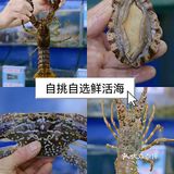 三亚美食｜超高性价必好吃不贵的海鲜店