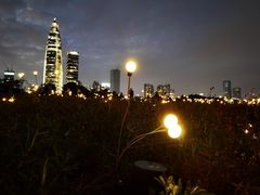 -深圳湾公园(南山区)