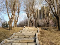 -长春公园(普阳街道)