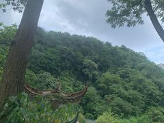 -黔灵山公园