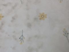 -探窝·竹笙椰子鸡(杨箕店)