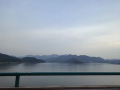 -望湖烤鱼