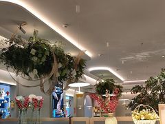 -Aqua Oasis 水天堂(太湖中心mall店)