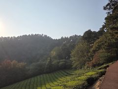 -敬亭山风景名胜区