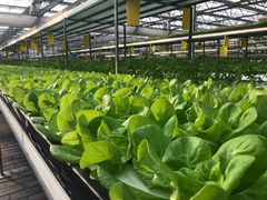 -中国农科院国家农业科技展示园