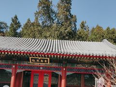 -宫事颐庭·老佛爷贵寿下午茶(颐和园店)