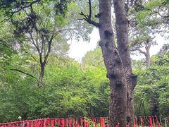 -北陵公园