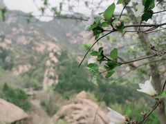 -北京凤凰岭